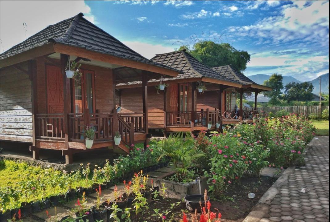 Puncak Rinjani Lodge Sembalunlawang Exterior foto
